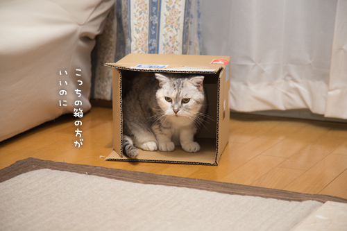 それぞれのツボは_d0355333_16410387.jpg