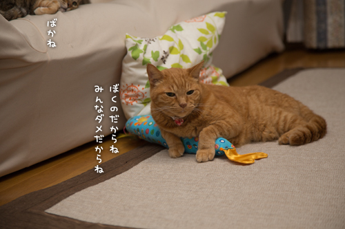 ぐうたら男子_d0355333_16410620.jpg