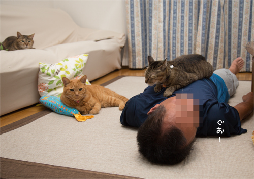 ぐうたら男子_d0355333_16410676.jpg