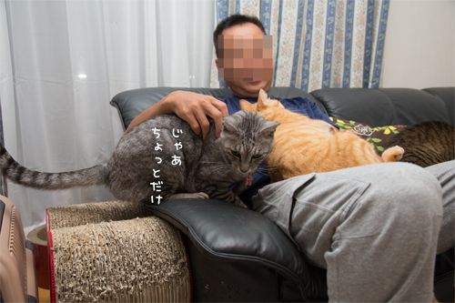 ほんとは甘えたい。_d0355333_16410833.jpg