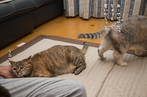 10年取り返さなくっちゃ_d0355333_16410916.jpg