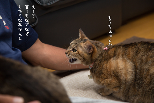 10年取り返さなくっちゃ_d0355333_16411044.jpg