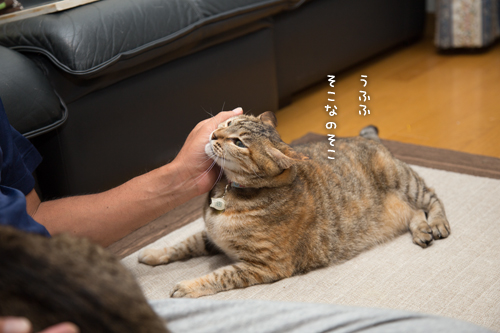 10年取り返さなくっちゃ_d0355333_16411084.jpg