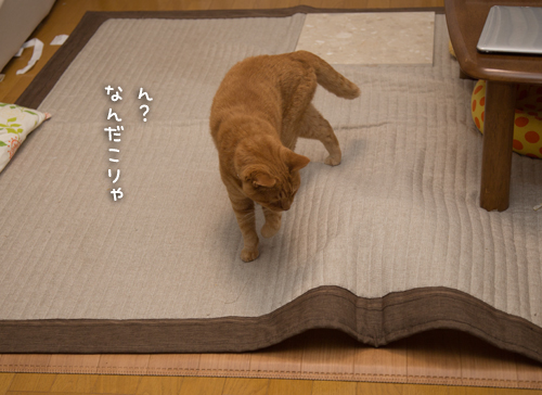 息をひそめて_d0355333_16411306.jpg