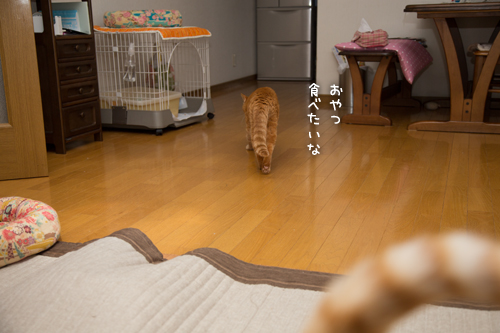 息をひそめて_d0355333_16411347.jpg
