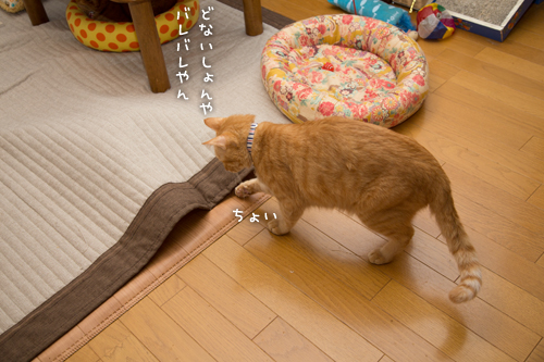 息をひそめて_d0355333_16411379.jpg