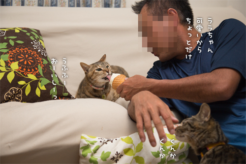 おいしいんだもの_d0355333_16411407.jpg