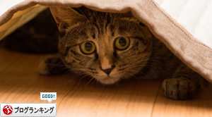息をひそめて_d0355333_16411408.jpg