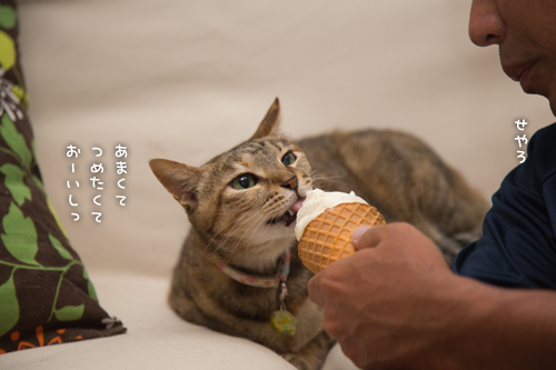 おいしいんだもの_d0355333_16411421.jpg