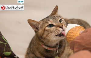 おいしいんだもの_d0355333_16411522.jpg