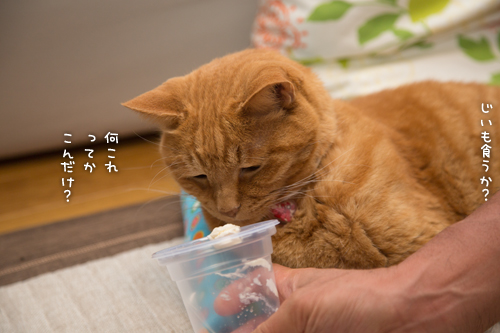 おいしいんだもの_d0355333_16411524.jpg
