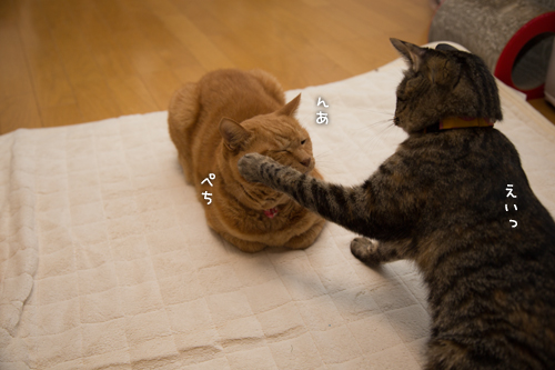 困った子はなびっこ_d0355333_16411689.jpg