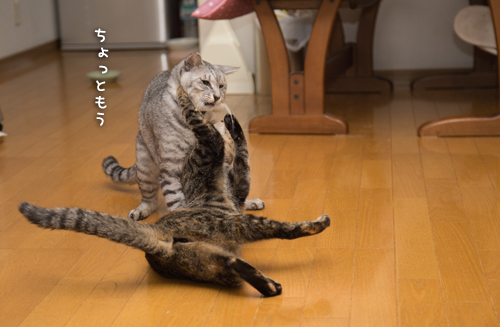 まさかの・・・_d0355333_16411740.jpg