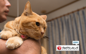 あたふたソロくん_d0355333_16411821.jpg
