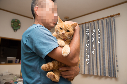 あたふたソロくん_d0355333_16411829.jpg