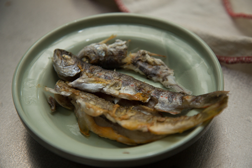 渓流釣りの獲物は_d0355333_16412609.jpg