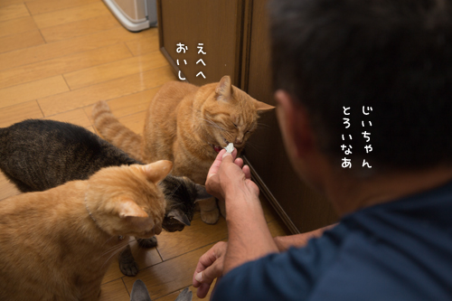 渓流釣りの獲物は_d0355333_16412664.jpg