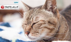ちょっとズルいよ_d0355333_16413810.jpg