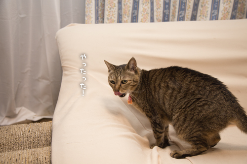ブラックな_d0355333_16414157.jpg
