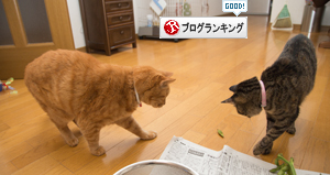 役に立たないお手伝い隊登場_d0355333_16414581.jpg