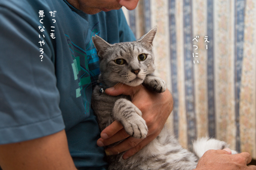 だっこれんしゅう_d0355333_16414817.jpg