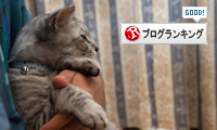 だっこれんしゅう_d0355333_16414954.jpg