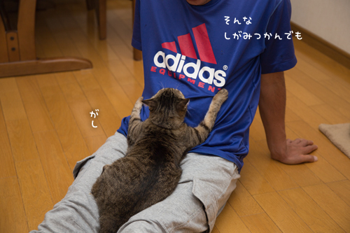 ちゃっかりさん_d0355333_16415259.jpg