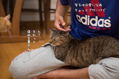ちゃっかりさん_d0355333_16415281.jpg