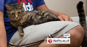 お膝独占権は_d0355333_16415459.jpg