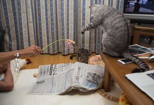 新聞紙の下で_d0355333_16415590.jpg