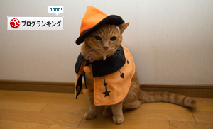 ソロくんの壁紙_d0355333_16415890.jpg