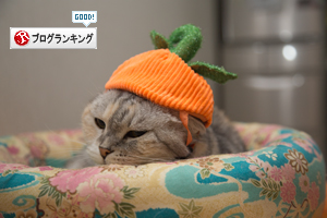 冬が来たね_d0355333_16420002.jpg