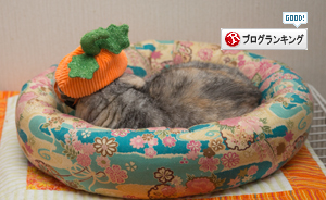 おとなになれば_d0355333_16420156.jpg