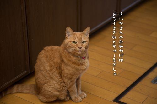 お客さんににおいフェチ_d0355333_16420225.jpg