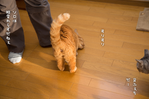 お客さんににおいフェチ_d0355333_16420266.jpg