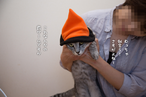 大人の階段。_d0355333_16420390.jpg