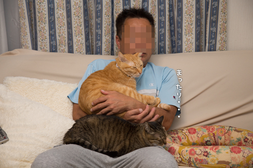 もじもじもじもじ_d0355333_16420621.jpg