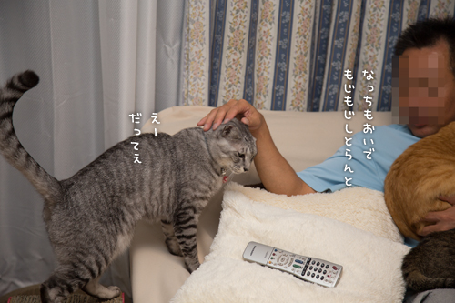 もじもじもじもじ_d0355333_16420693.jpg