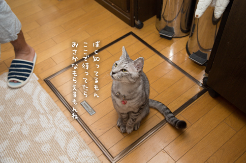 ぼくは知っている_d0355333_16420981.jpg