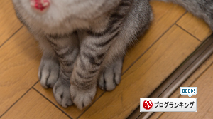 ぼくは知っている_d0355333_16420998.jpg