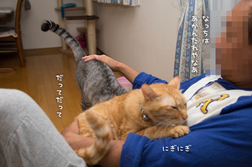 もじもじ再び_d0355333_16421008.jpg