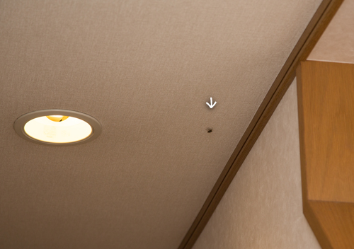 飛んで火に入る秋の虫?!_d0355333_16421229.jpg