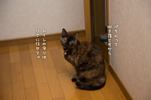 飛んで火に入る秋の虫?!_d0355333_16421248.jpg
