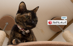 まだまだ元気!_d0355333_16421426.jpg