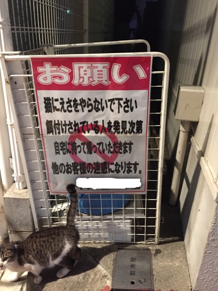 悲しい看板_d0355333_16421843.jpg