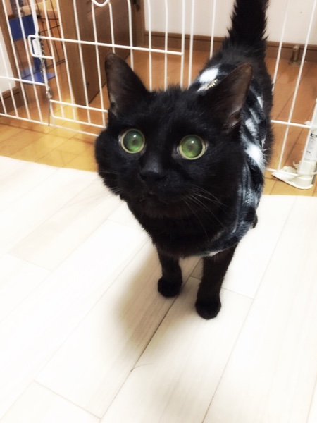 にっこり写真_d0355333_16422110.jpg
