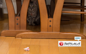 チャンスを逃す時_d0355333_16422565.jpg