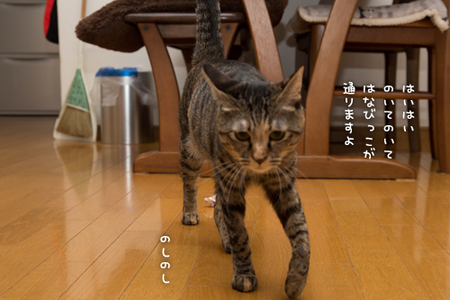 チャンスを逃す時_d0355333_16422567.jpg