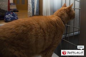 使い方が・・・_d0355333_16422722.jpg