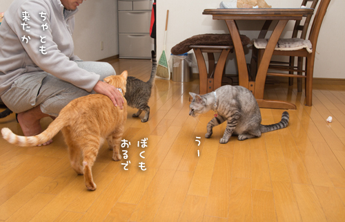 もじもじくん再び_d0355333_16422910.jpg